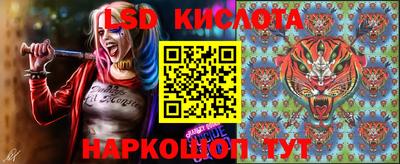 шишки Кимры
