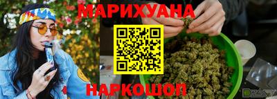 шишки Кимры