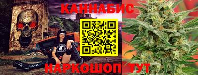 шишки Кимры