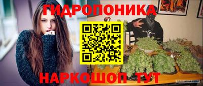 сатива Кинель