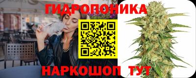 сатива Кинель