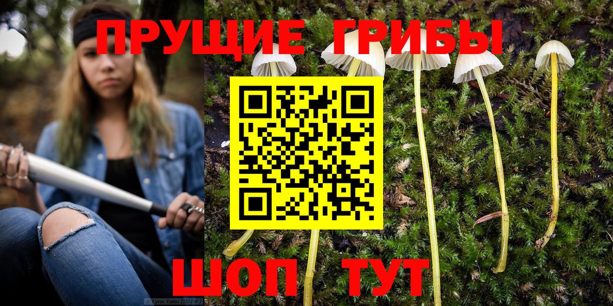 Черемхово  купить   Вход с VPN  Псилоцибиновые грибы Psilocybe 