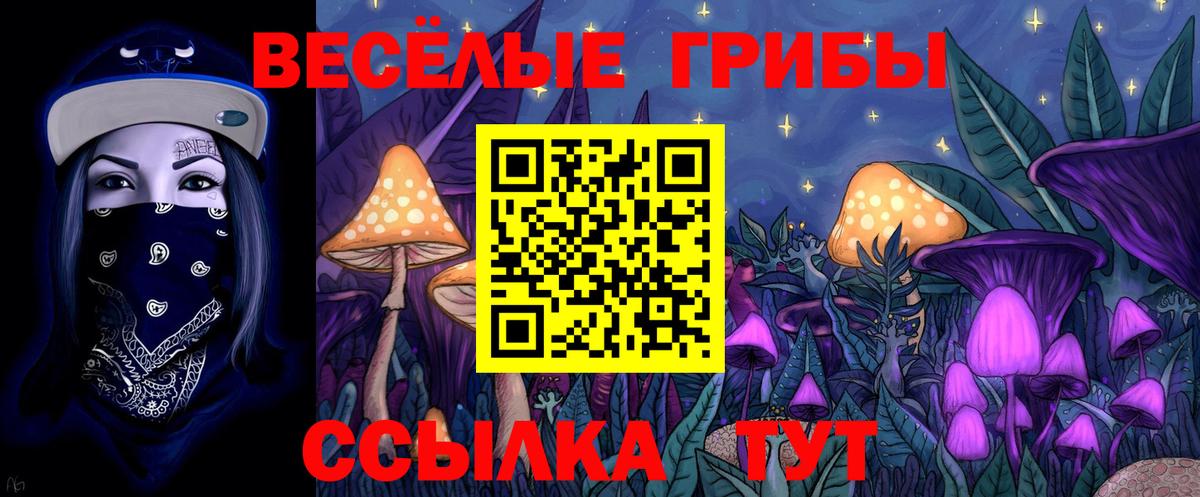 Галлюциногенные грибы мухоморы Черемхово
